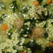 Italian Wedding Soup-Yummm by brillomick