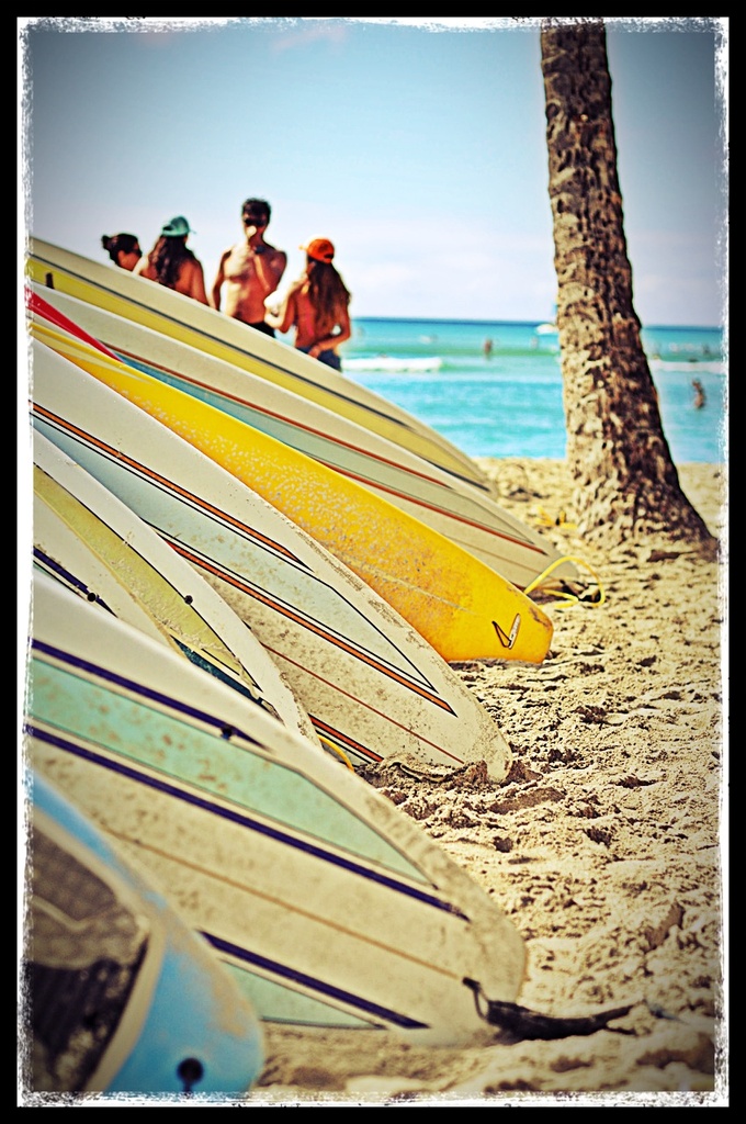 Surfboards by kwind