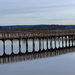 Boardwalk at Nisqually Refuge by jankoos
