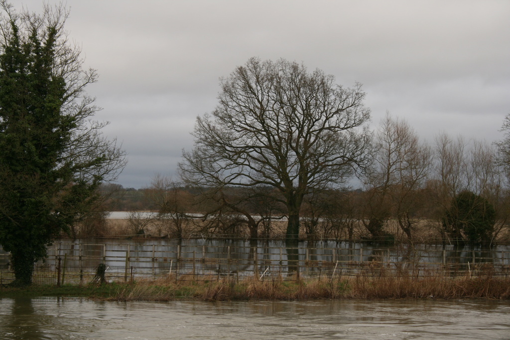 Flooded fields in Sonning by mariadarby