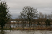 4th Jan 2013 -  Flooded fields in Sonning