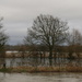  Flooded fields in Sonning by mariadarby
