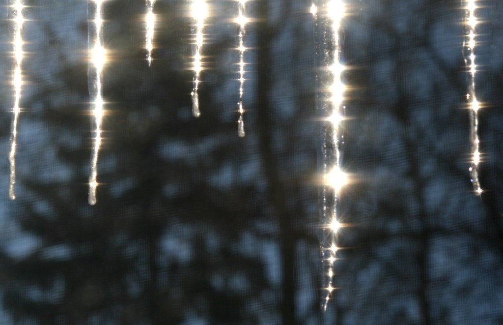 Flare on icicles in front of trees by mittens