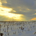 Winter Sunset by jayberg
