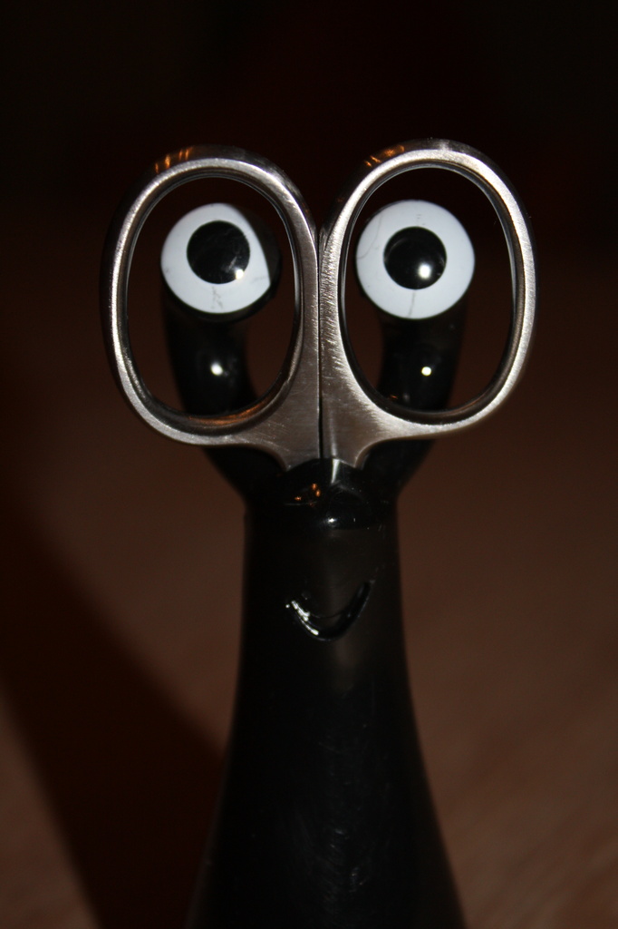Edward Scissor-Eyes! by nicolaeastwood