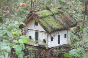 4th Jan 2013 - Little house in the woods