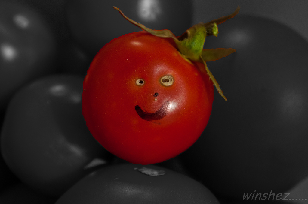 tomato  by winshez