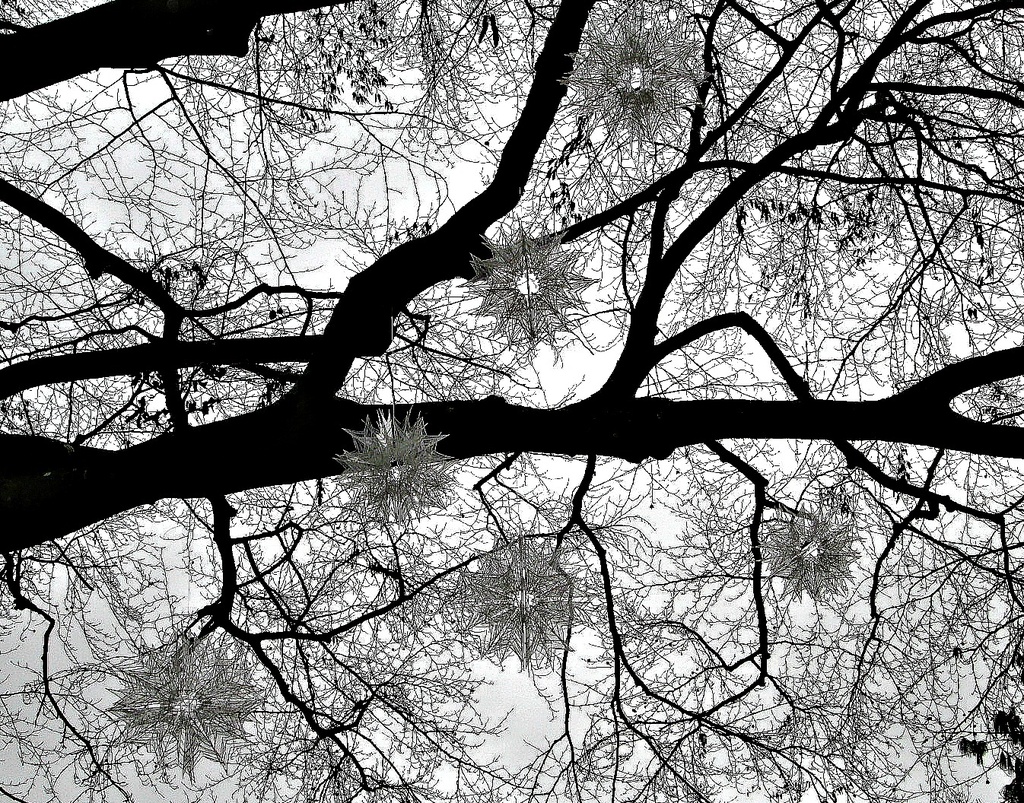 'tree' hung with stars by quietpurplehaze