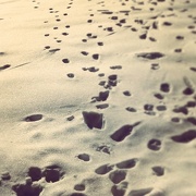 5th Jan 2013 - Footprints in the snow...