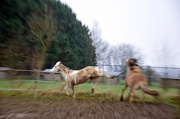 5th Jan 2013 - what happens when my camera isn't fast enough