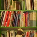 Kitchen bookshelf by bizziebeeme