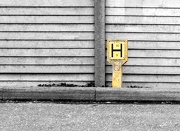 5th Jan 2013 - H is for (fire) hydrant marker 