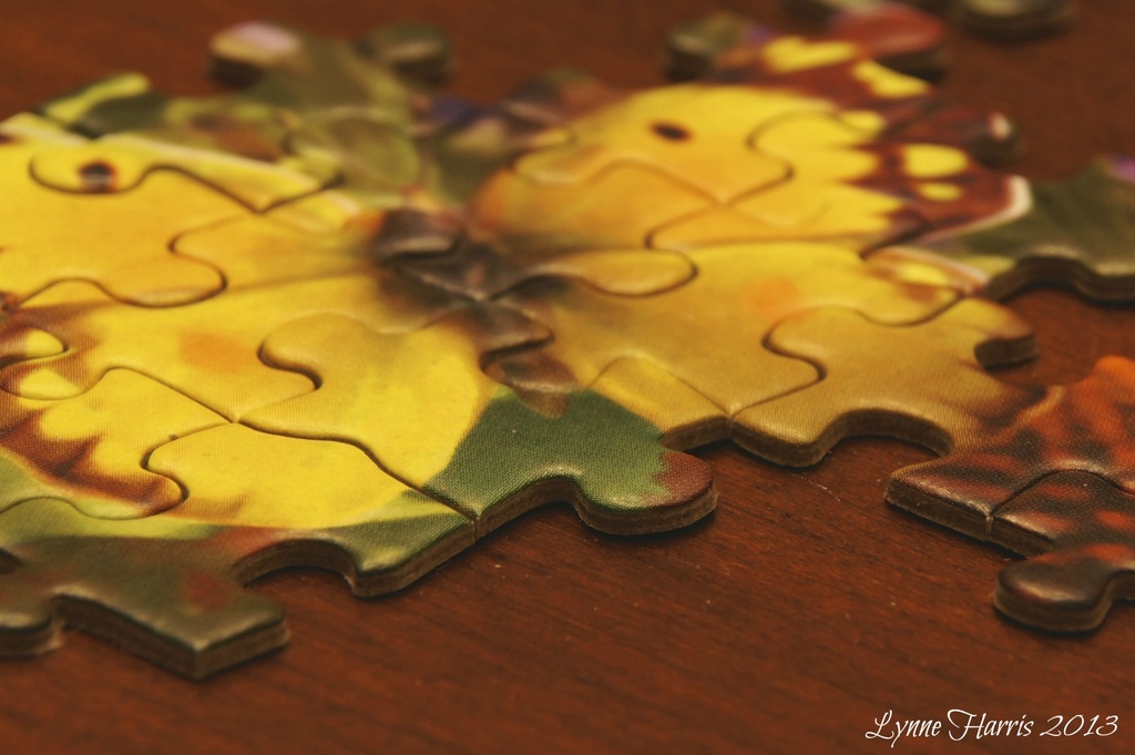 Puzzling by lynne5477