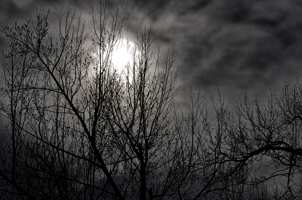 Dark Skies by lstasel