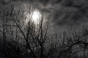 2nd Jan 2013 - Dark Skies