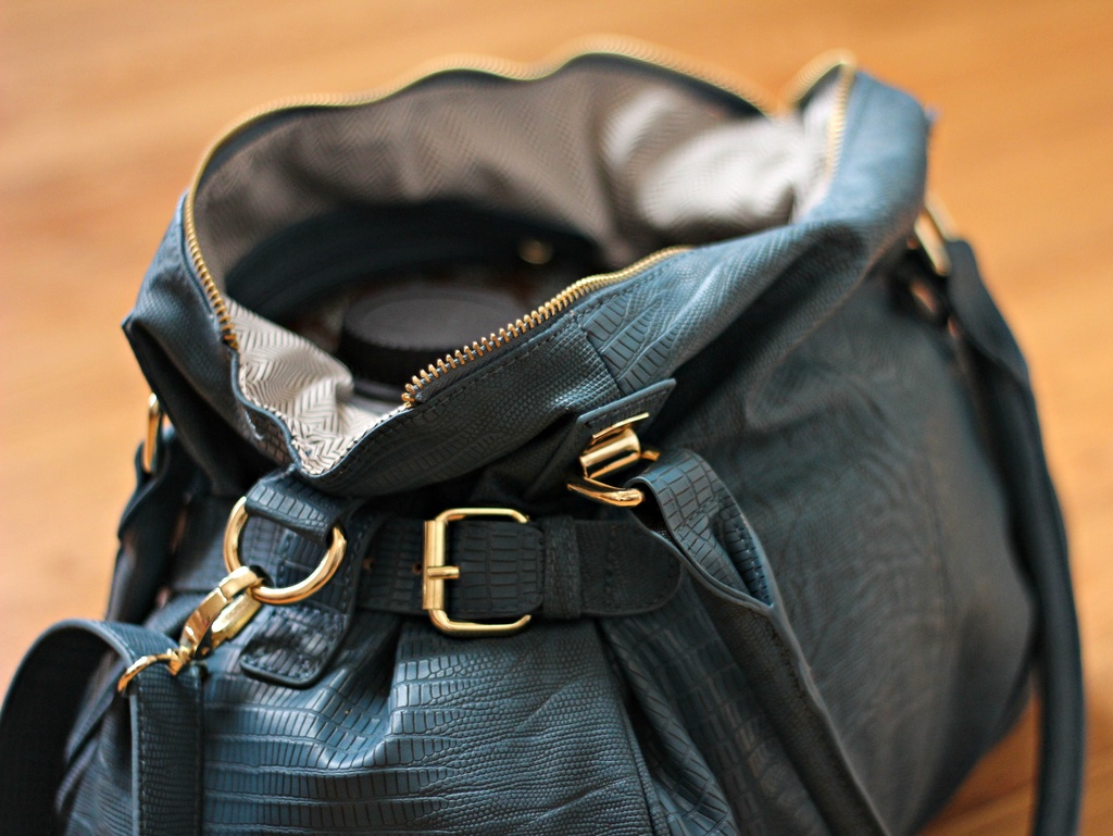 Is it a purse or camera bag? by tara11