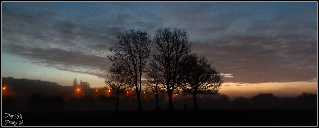 Misty Early Morning Walk by tonygig