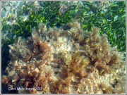 6th Jan 2013 - Cool,Clear Water