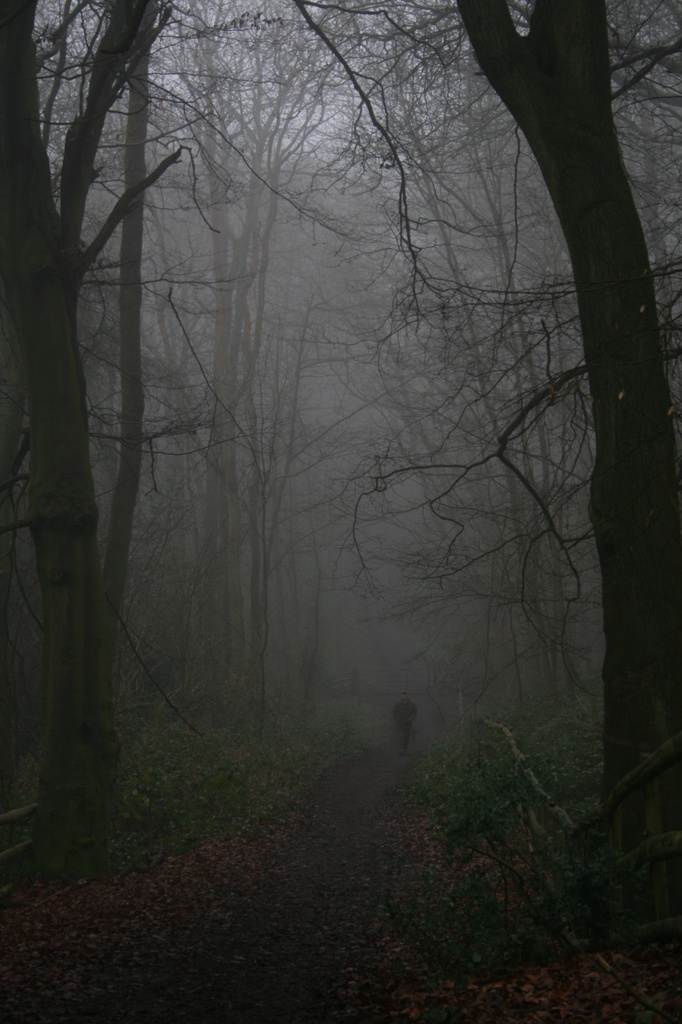 misty morning walk by mariadarby