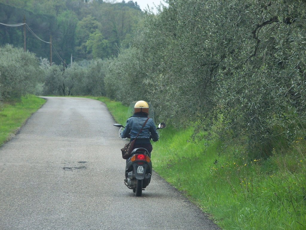 Ali motorizada en la Toscana by estelajimenez