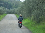 12th Dec 2012 - Ali motorizada en la Toscana