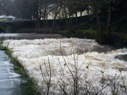 20th Dec 2012 - River Tavy after heavy rain 