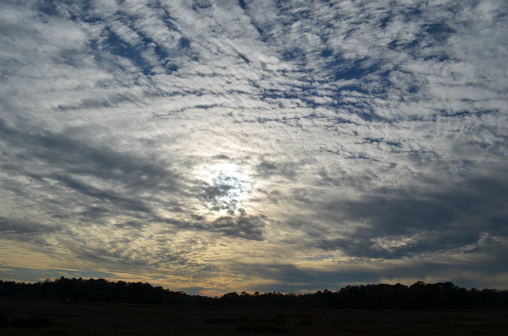 Amazing skies Saturday afternoon at the nature preserve. by congaree