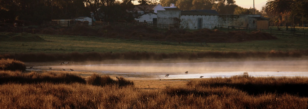 Dreyersdal farm on a cold winter's morning by eleanor