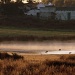 Dreyersdal farm on a cold winter's morning by eleanor