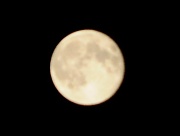 26th Jul 2010 - Full Moon 