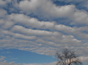 6th Jan 2013 - Pretty Skies