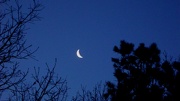 7th Jan 2013 - Crescent Moon