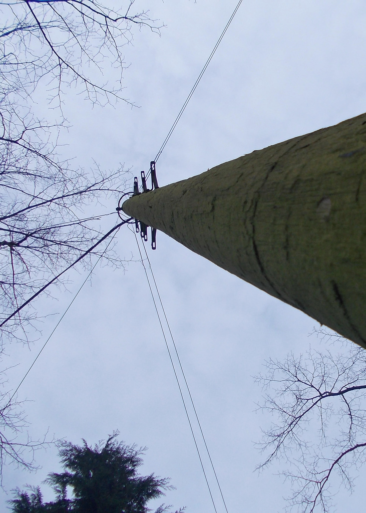 Telegraph Pole by richardcreese