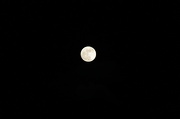 5th May 2012 - Full moon