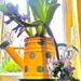 Spring In A Teapot! by helenmoss