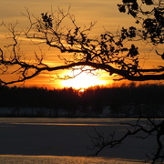 7th Jan 2013 - Open Water