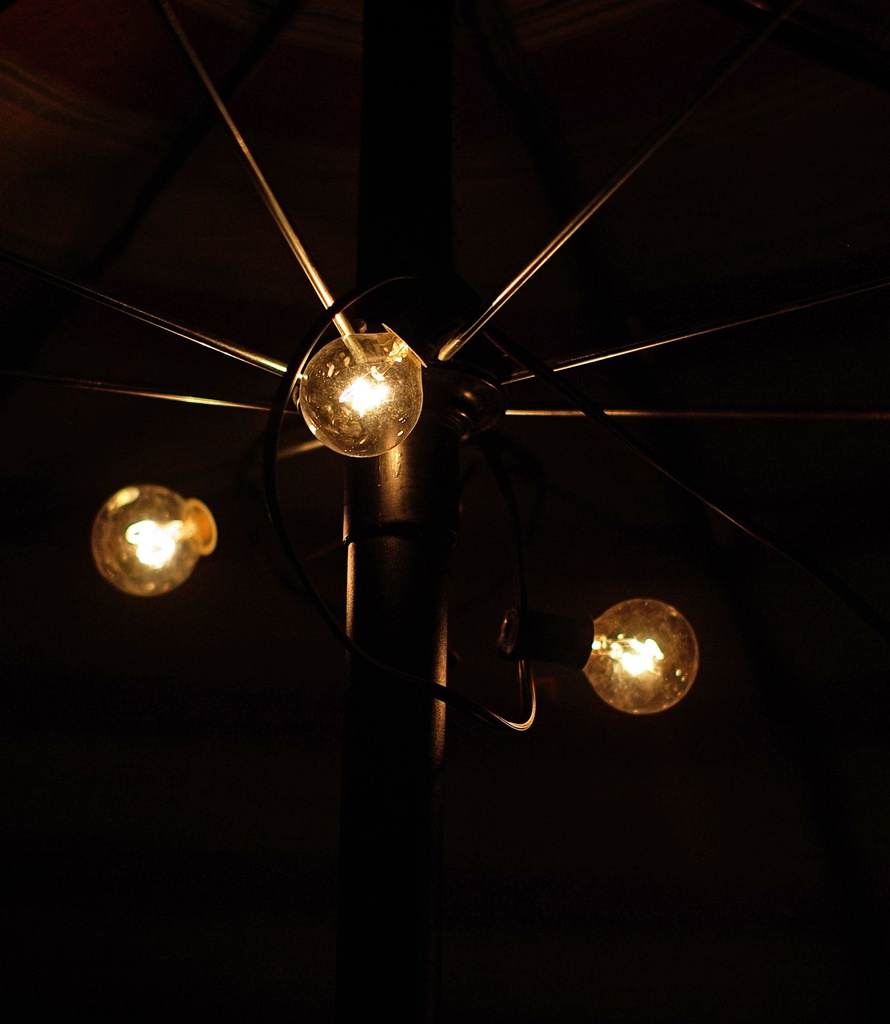 (Day 225) - Triple Bulbs by cjphoto