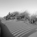 Dune Shadows by lauriehiggins