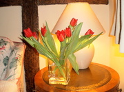 7th Jan 2013 - Tulips ...