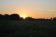 27th Jul 2010 - sunset last night...