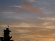 8th Jan 2013 - 2nd 'sunrise' of the new year -