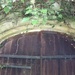 Door    to Sleeping Beauy's Palace? by lellie