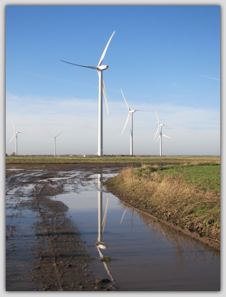 Wind farm by busylady
