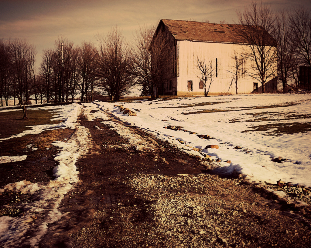 Winter Farm by yentlski