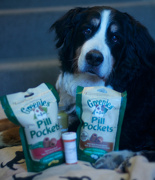 9th Jan 2013 - I Love Pill Pockets