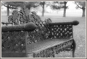 9th Jan 2013 - Ornate Bench