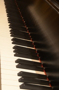 10th Jan 2013 - Silent Piano Keys