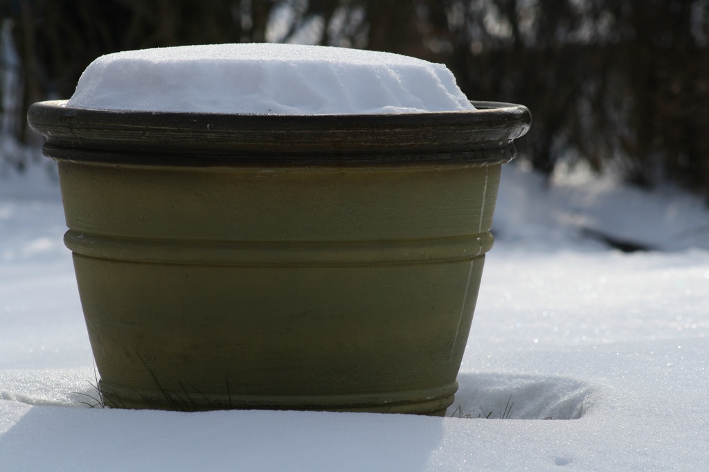Planter waiting for spring. by mittens