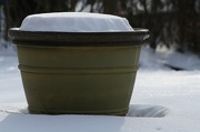 10th Jan 2013 - Planter waiting for spring.