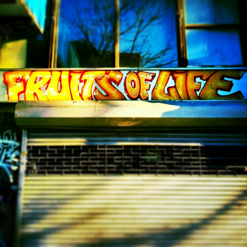 Fruits of Life? by fauxtography365